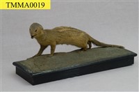 Crab-eating Mongoose Collection Image, Figure 6, Total 13 Figures